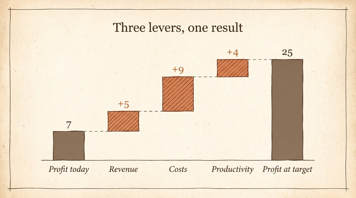 Waterfall chart: 7 million in profit becomes 25 million at target through plus 5 from revenue, plus 9 from costs and plus 4 from productivity